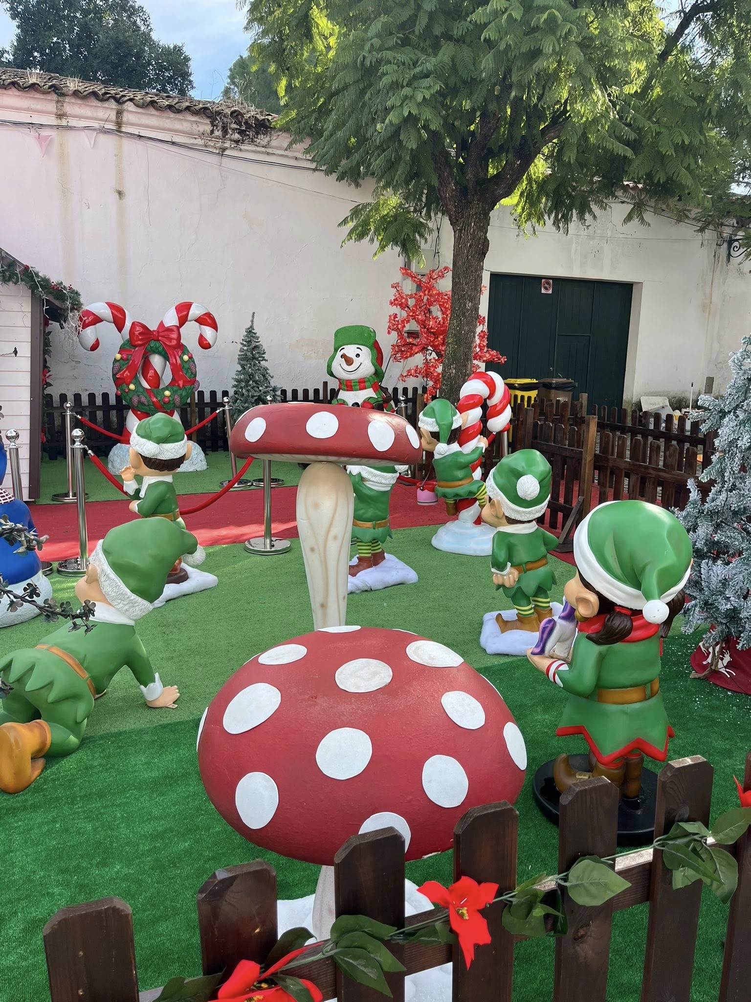 Natal3